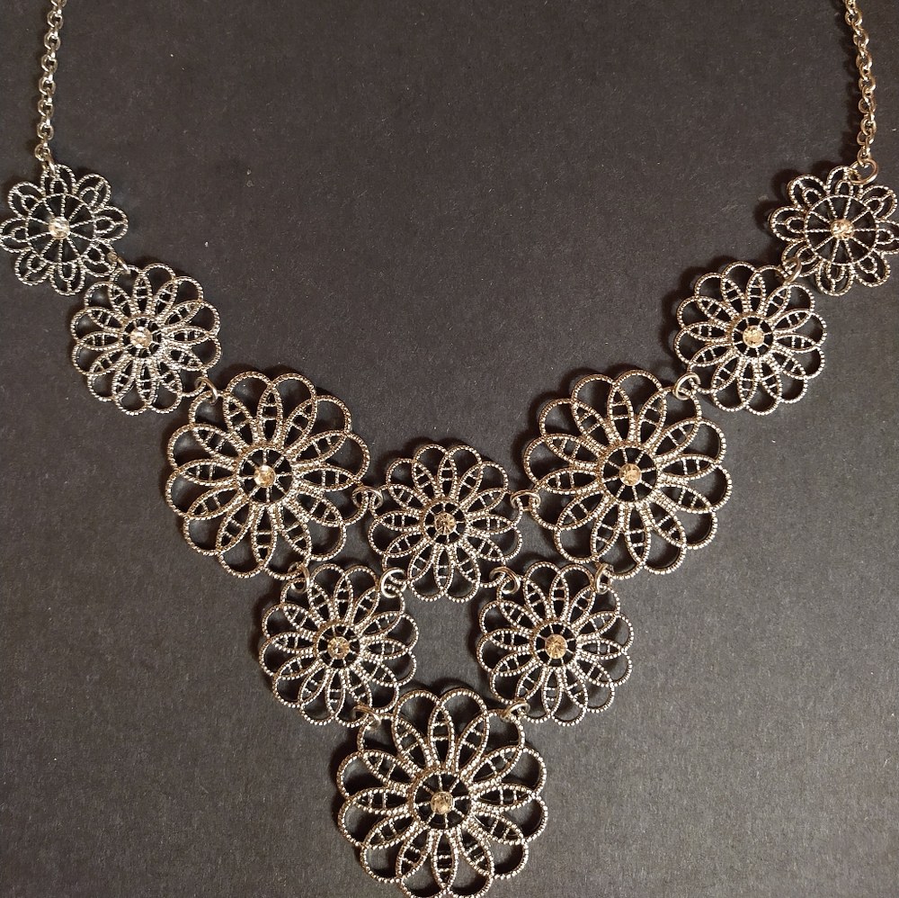 Charming Charlie Silver Necklace